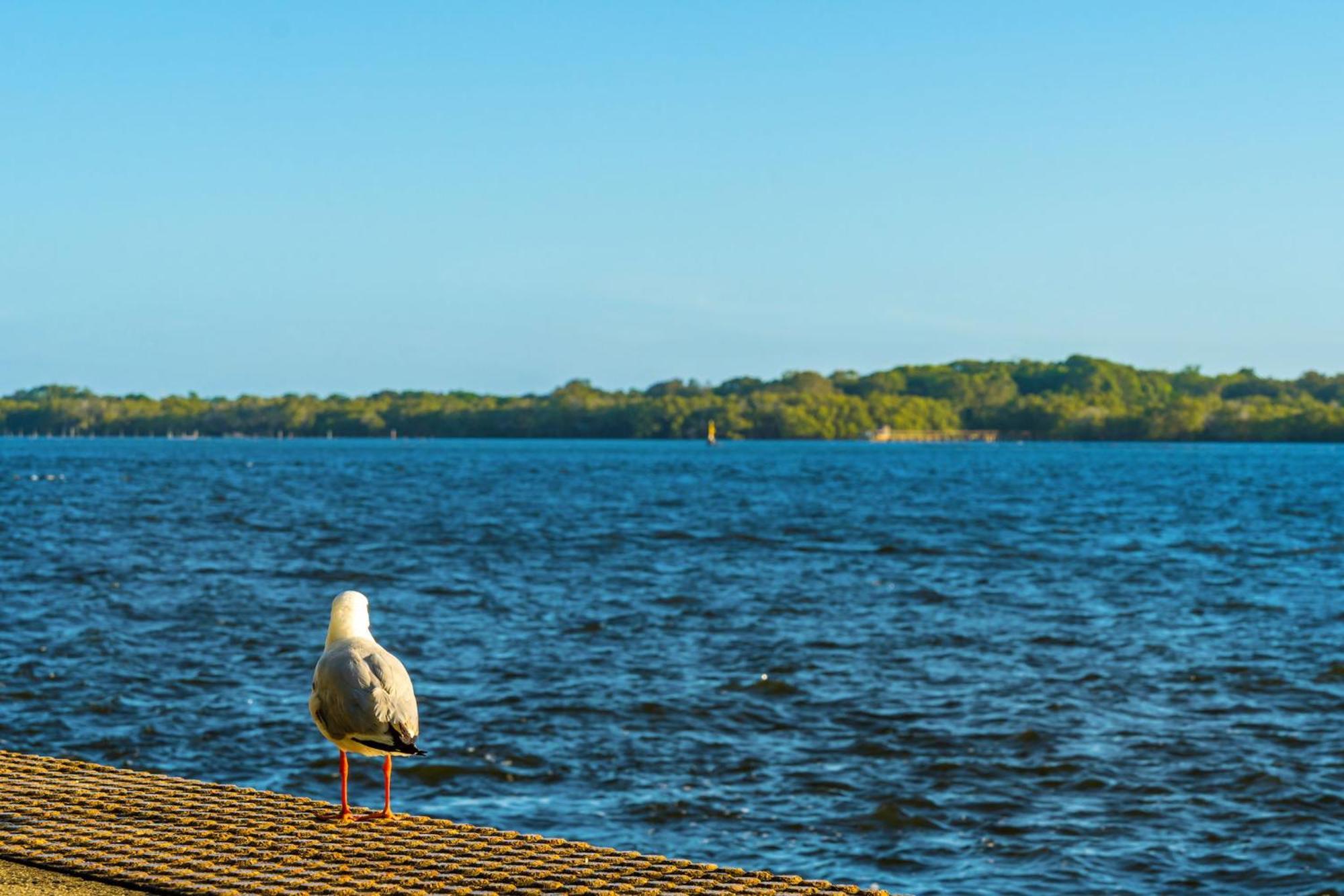 Riverside Holiday Apartments Ballina Esterno foto